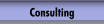 Consulting