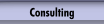 Consulting